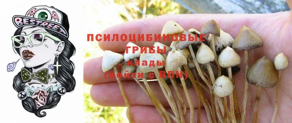 гашик Бугульма